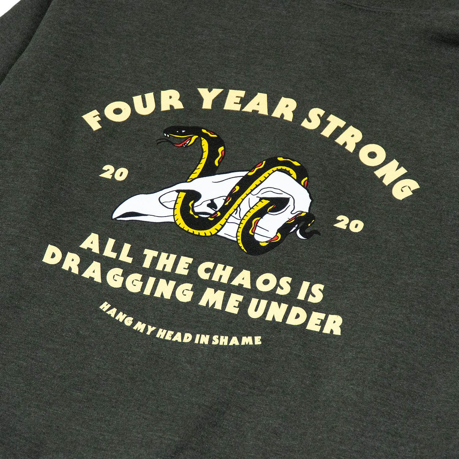 Snake Pullover Hoodie